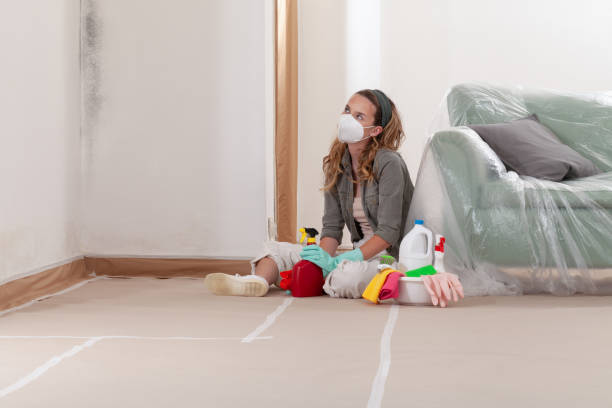 Reliable Commercial Mold Remediation contractor in Allendale, NJ by 24 Hour Mold Removal