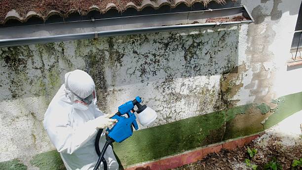 Top rated local Commercial Mold Remediation specialists in Allendale, NJ